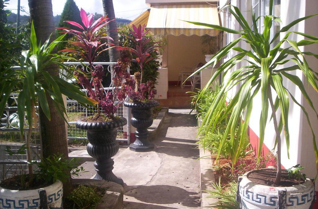 Villa Acajou Sur Mer Port Mathurin Exterior photo